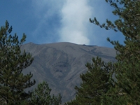 rrente Quarantore-20110911 014